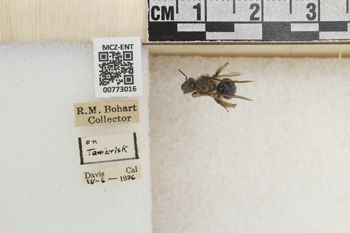 Media type: image;   Entomology 773016 Aspect: Labels